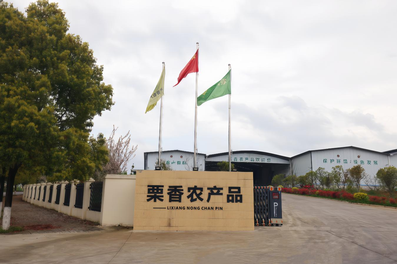 微信圖片_2026-05-17_181303_738.png