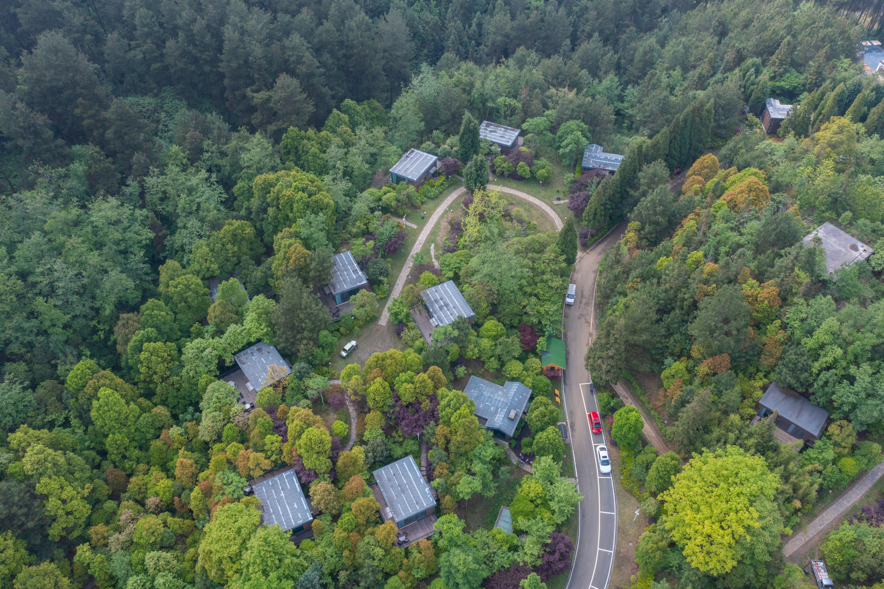DJI_0228.jpg