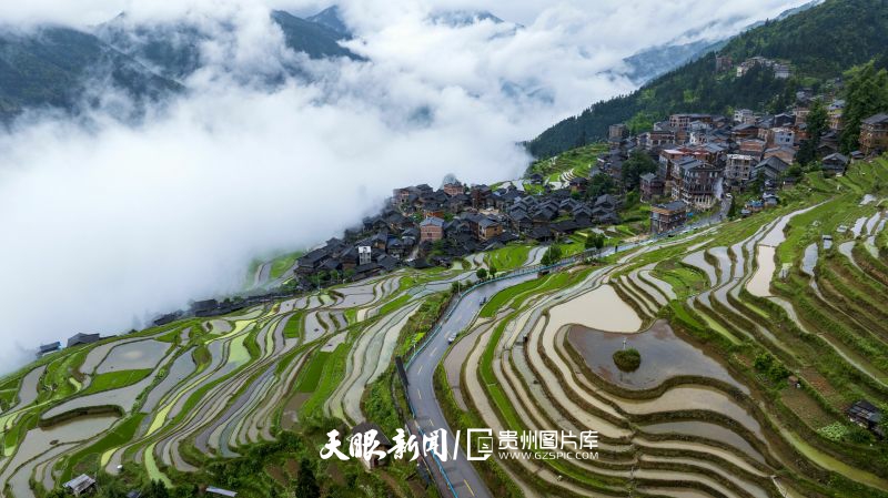 994600-2026年5月16日，在貴州省從江縣加榜鄉(xiāng)拍攝的加榜梯田霧景（無人機照片）。.jpg