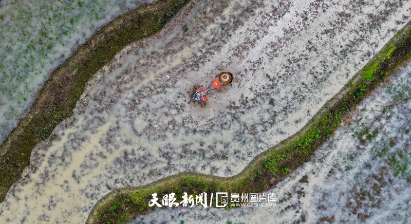 994551-2026年5月17日，村民在貴州省銅仁市江口縣壩盤鎮(zhèn)高墻村田間犁田。.jpg