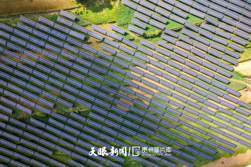 994981-2026年5月17日，位于貴州省威寧自治縣雙龍鎮(zhèn)高山村的仙水窩農(nóng)業(yè)光伏電站，光伏板下的牧草郁郁蔥蔥。(4).jpg