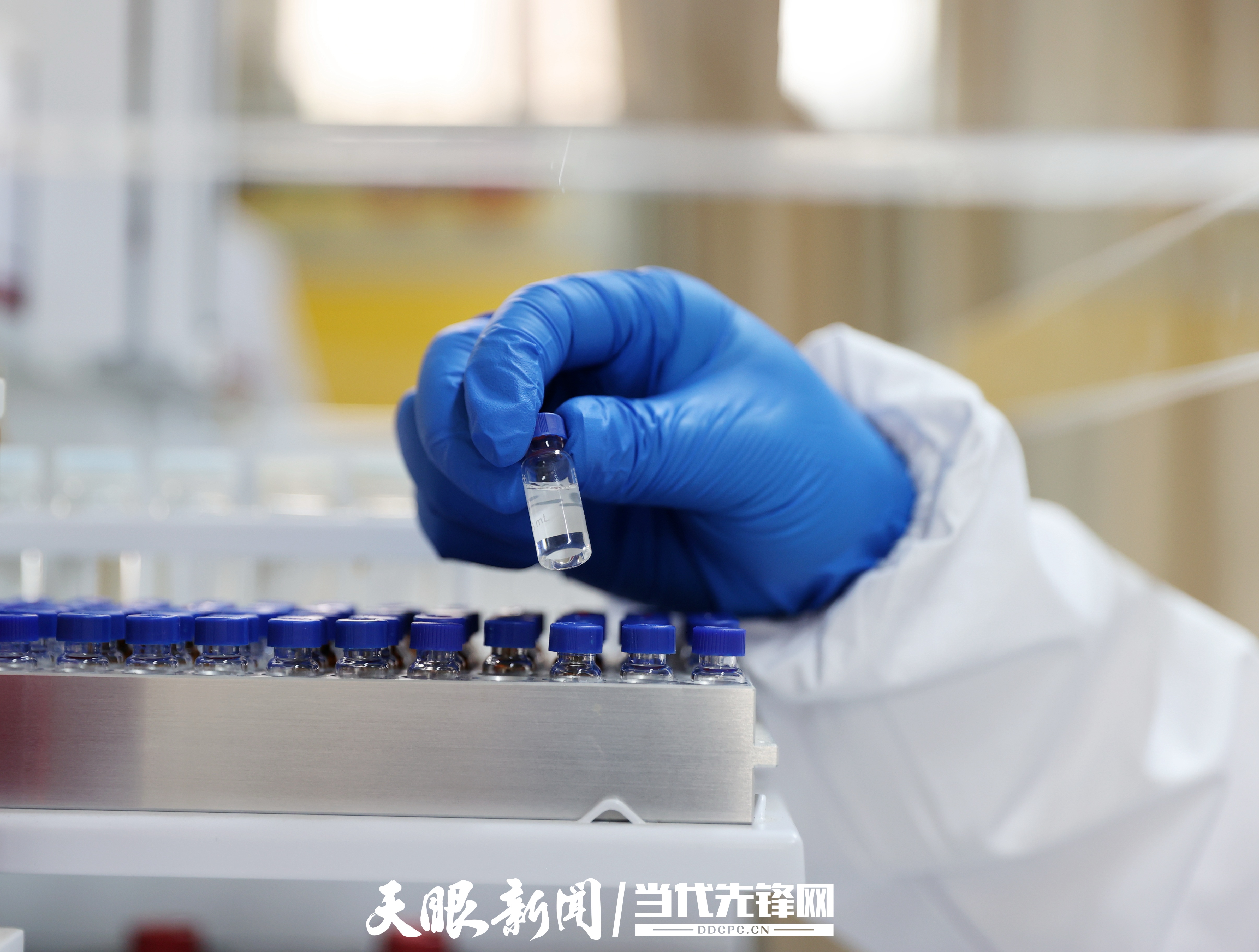 A77I6818  茅臺集團茅臺科學與技術研究院釀造環(huán)境生態(tài)中心主任陳筆在做實驗。張凱 攝.JPG