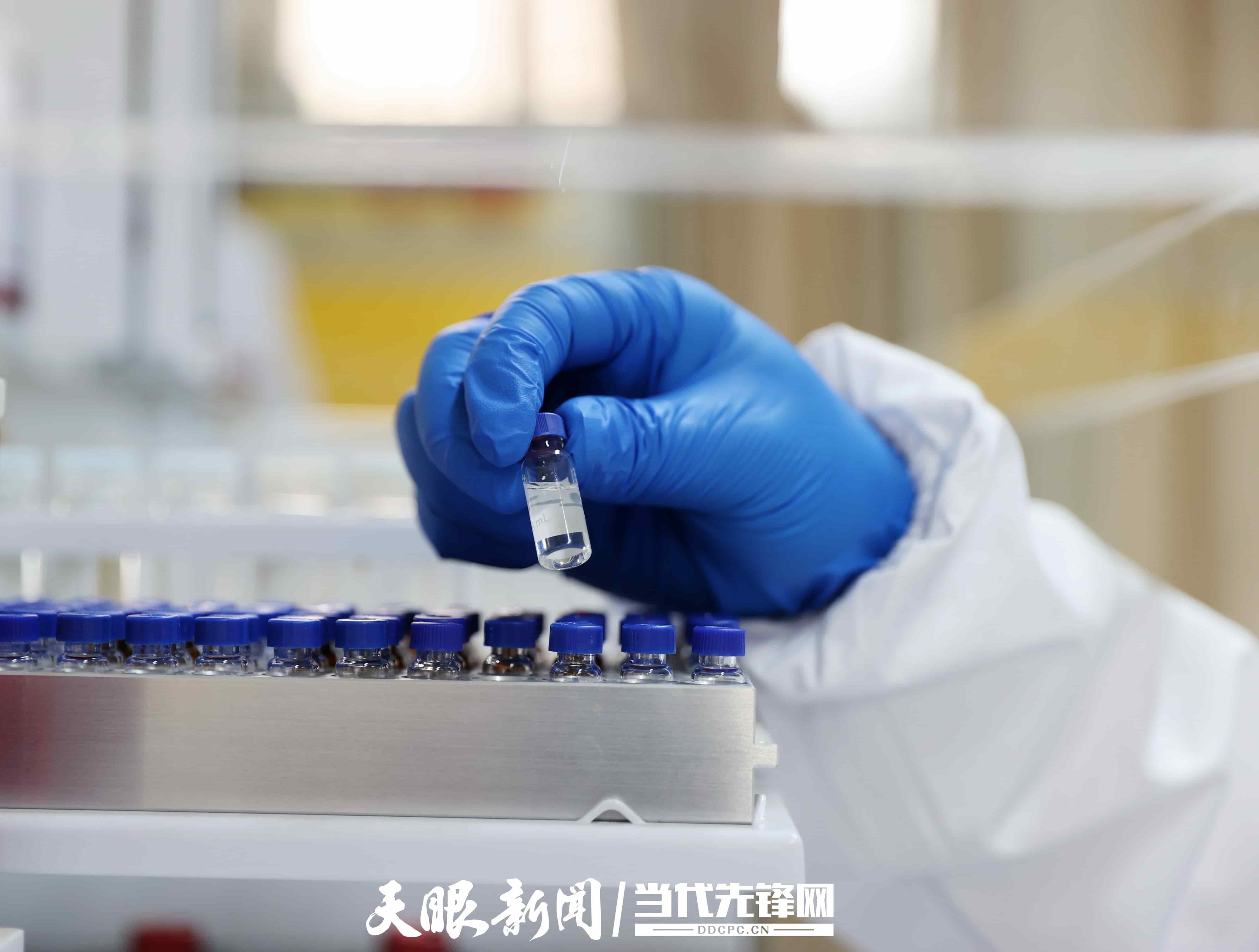 A77I6818  茅台集团茅台科学与技术研究院酿造环境生态中心主任陈笔在做实验。张凯 摄.JPG