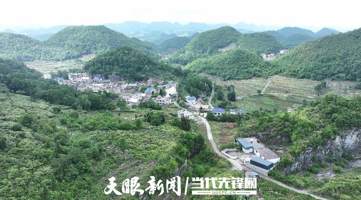 微信图片_20260529104939_3525_54.jpg