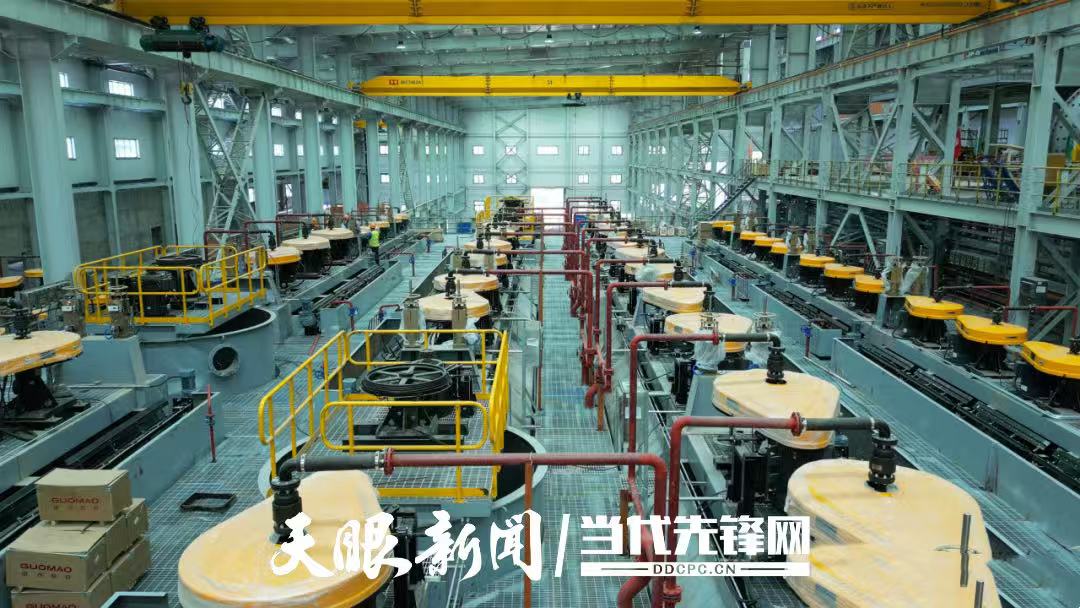 微信图片_20260529145122_1806_9.jpg