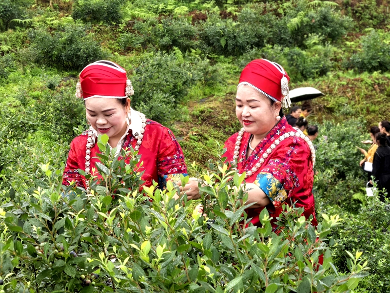 左为杨成花.jpg