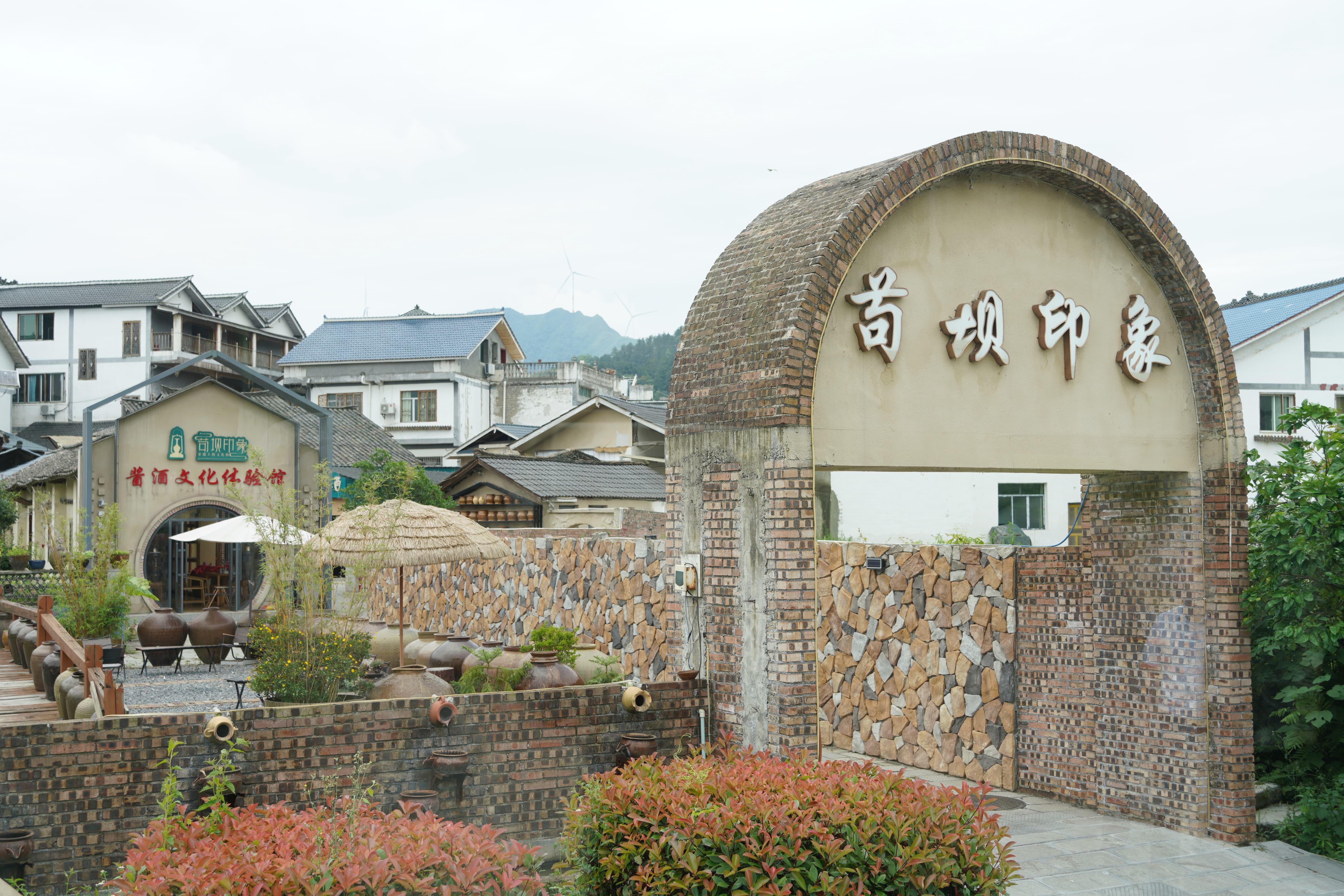 DSC00719.JPG