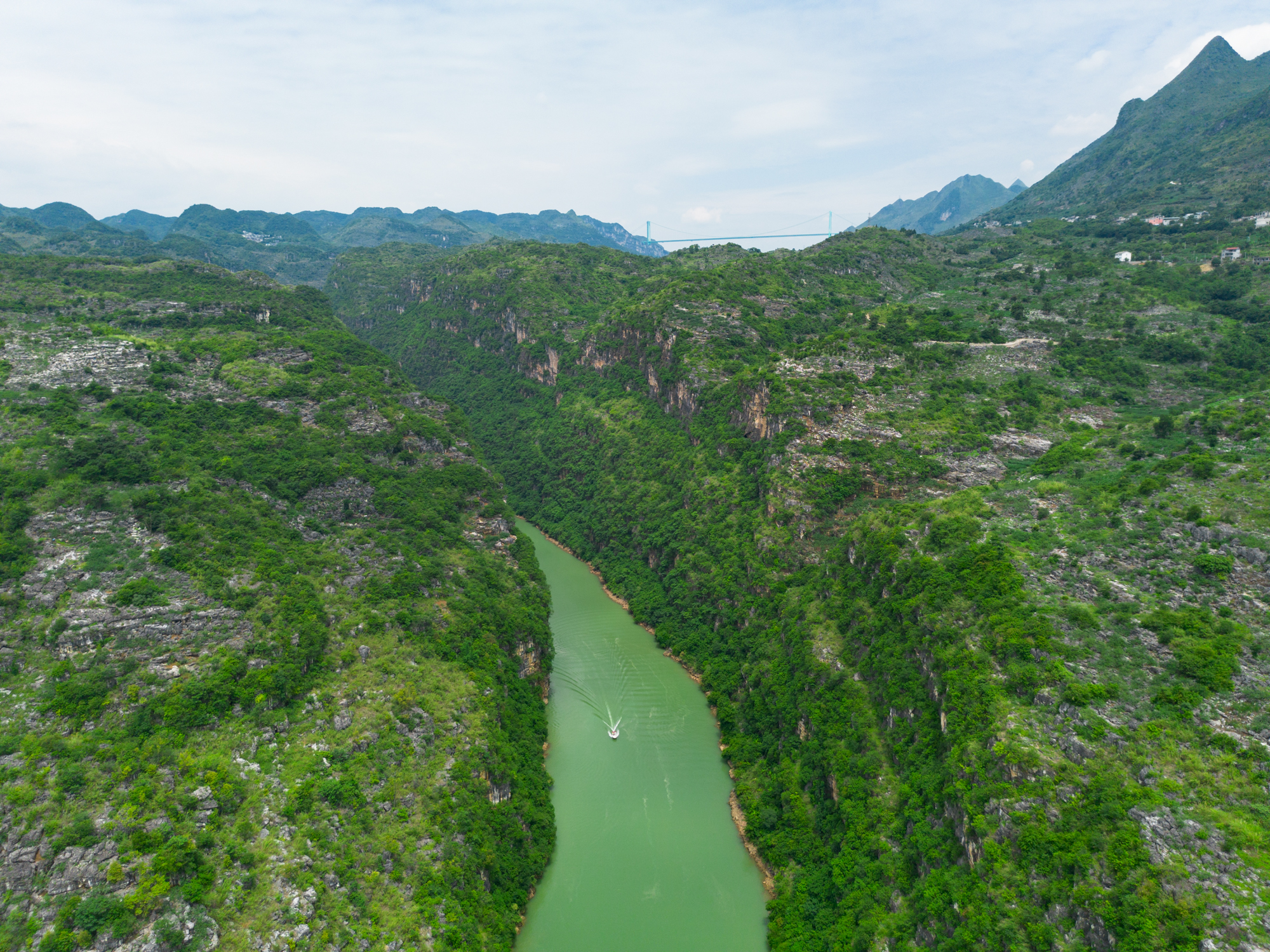 DJI_0335.jpg