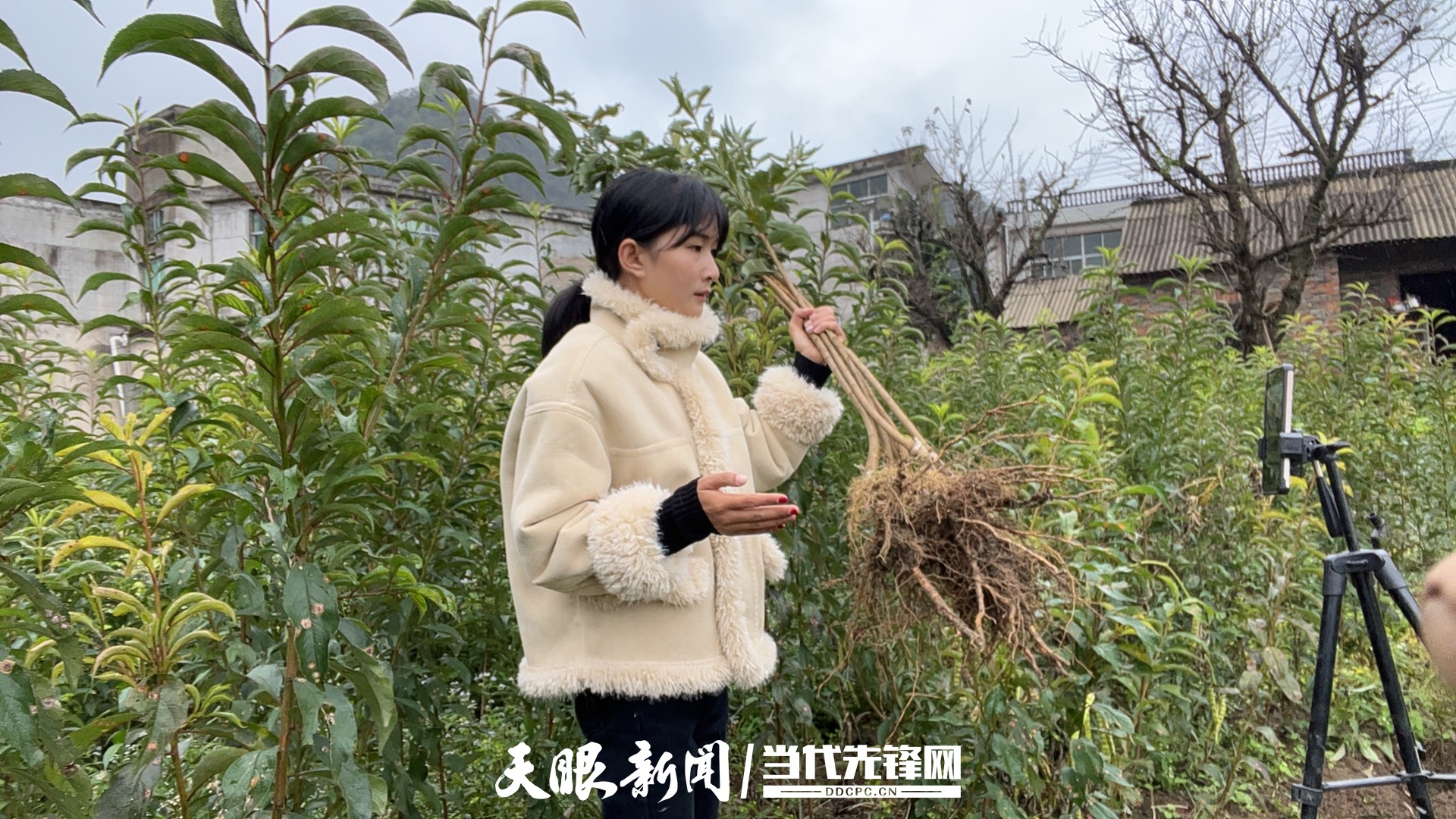 17813572335911.jpg 微信图片_20260613212655.jpg
