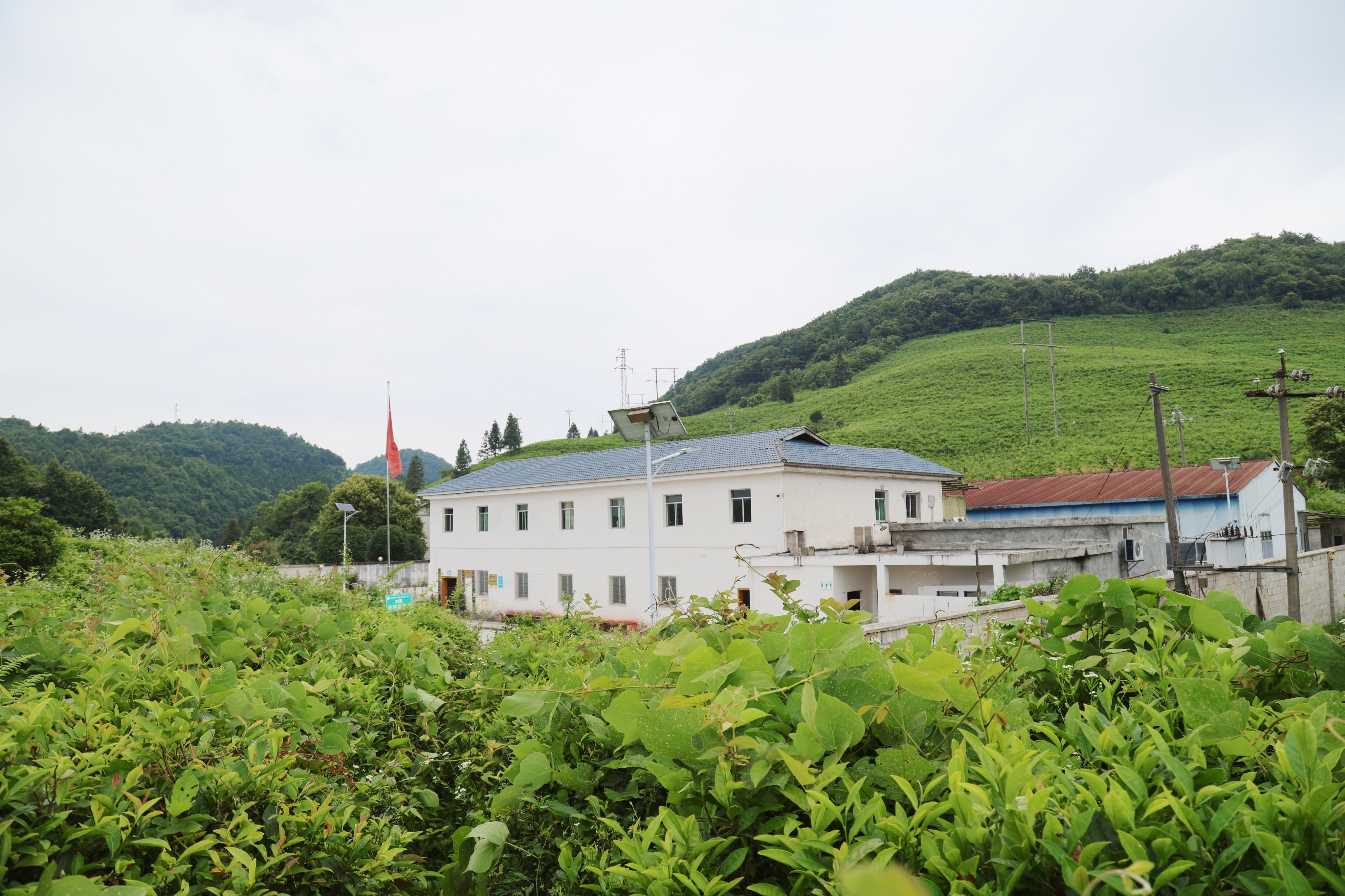 17817652172231.jpg 微信图片_20260618144400_574_7.jpg