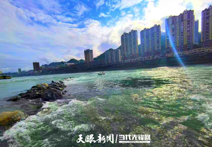 微信图片_20260619134137_64_65.jpg