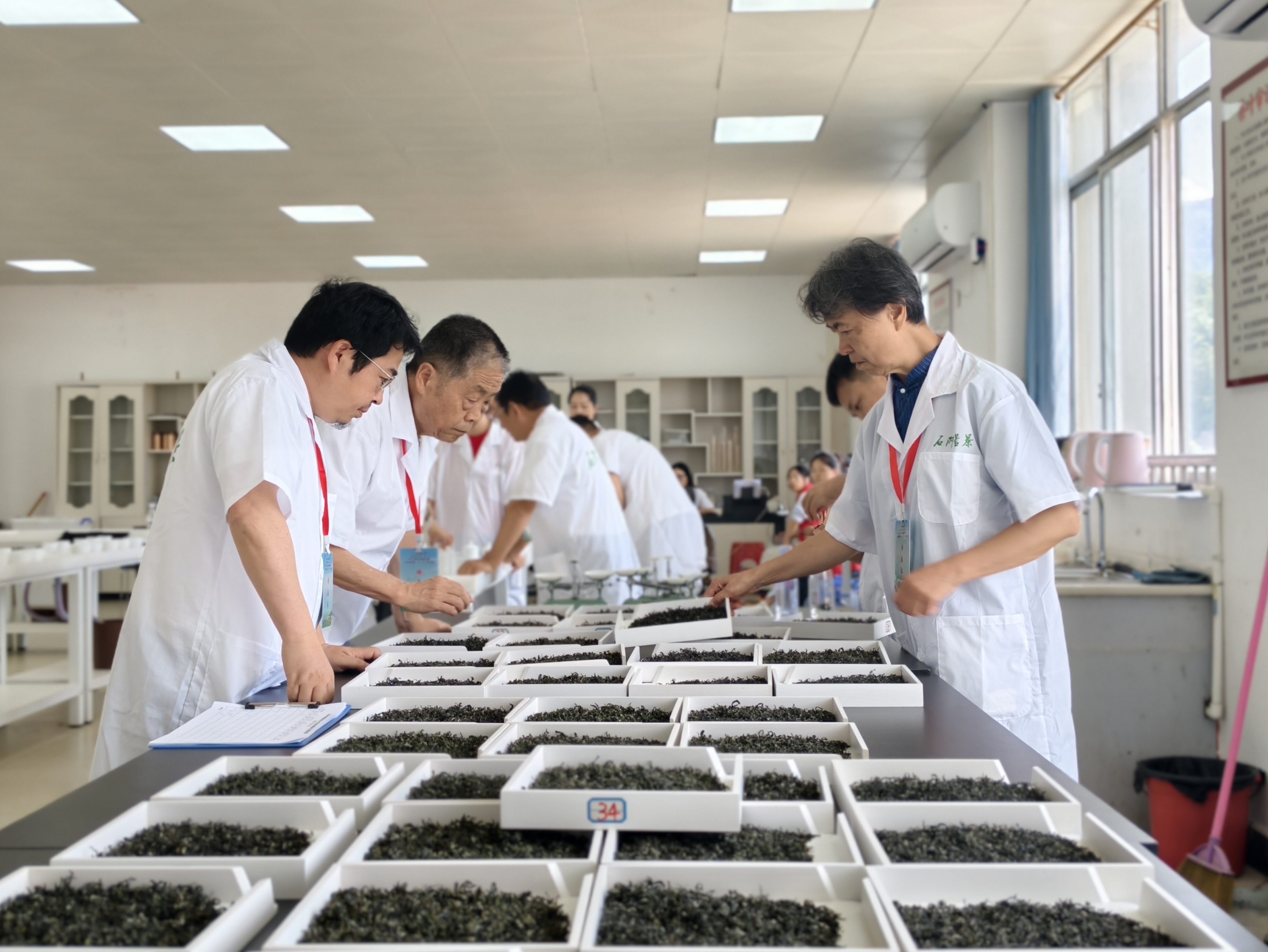 6月27日，在2026年贵州技能大赛——“石阡苔茶杯”第三届（工艺）白茶、第九届古树茶加工技能大赛、贵州省第三届（工艺）白茶斗茶赛上，图为评委在评茶。肖青青摄 (5).jpg