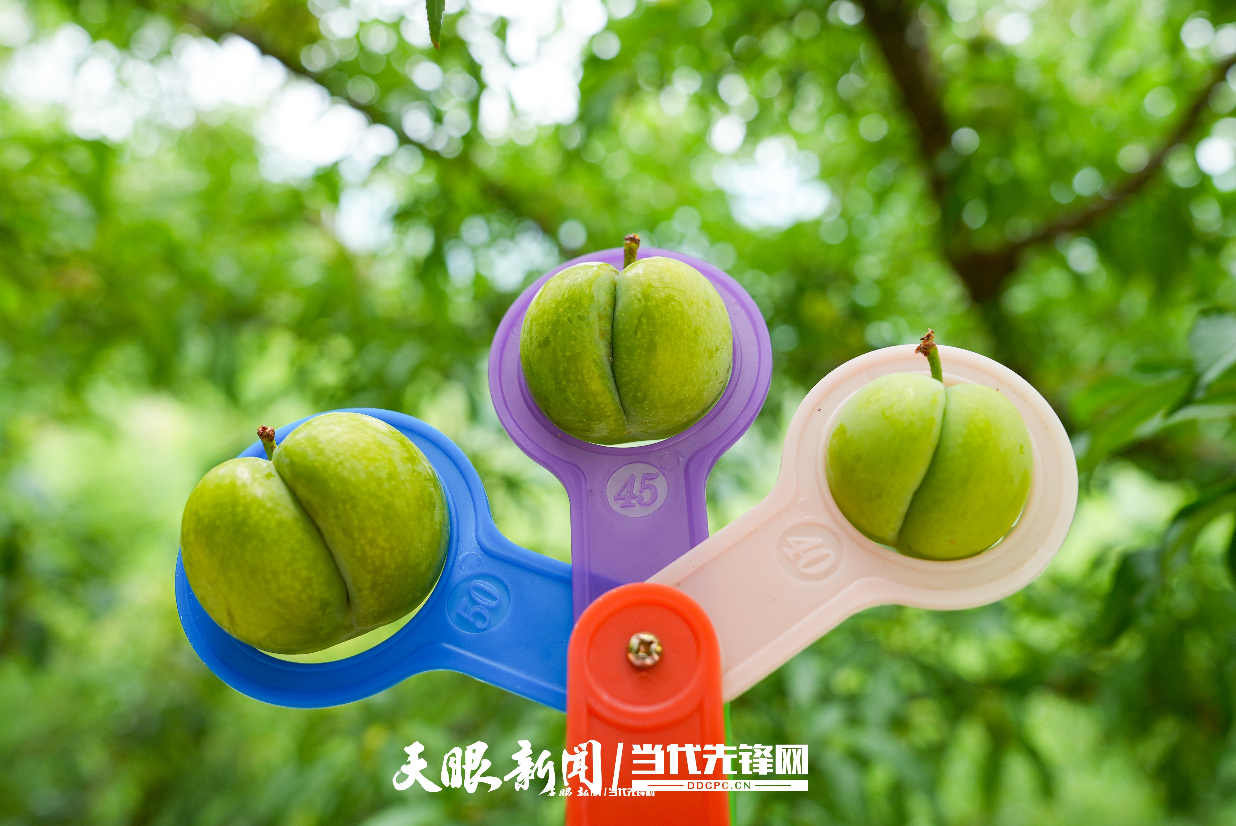 微信图片_20260701140749_1874_170.jpg