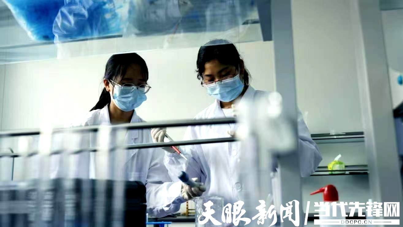 17839929874246.jpg 微信图片_20260706120434_36_67.jpg