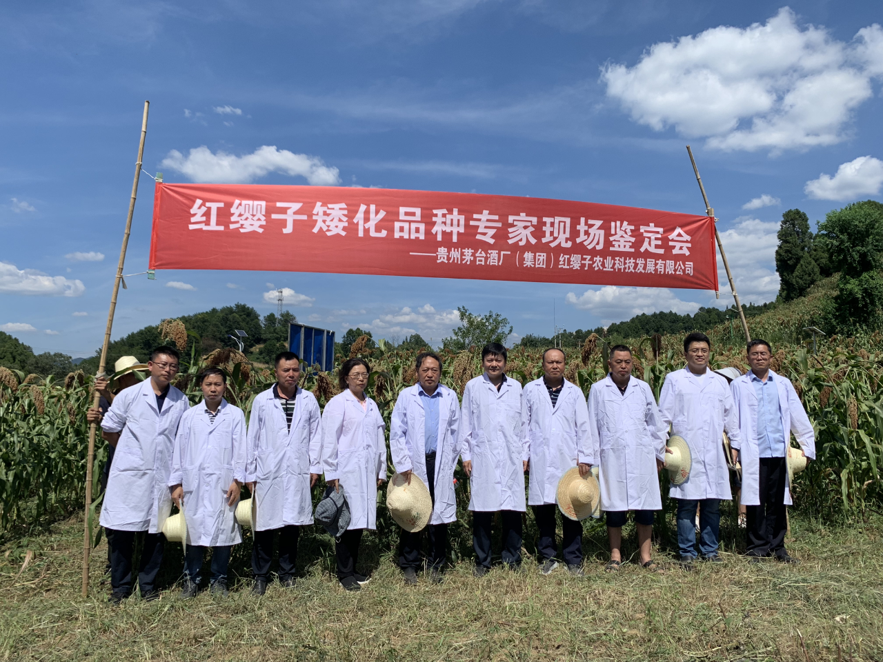 微信图片_2026-08-07_140429_786.png