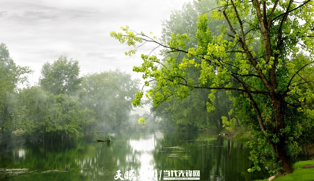 邢江河绿树环绕，碧水清幽。(1).jpg