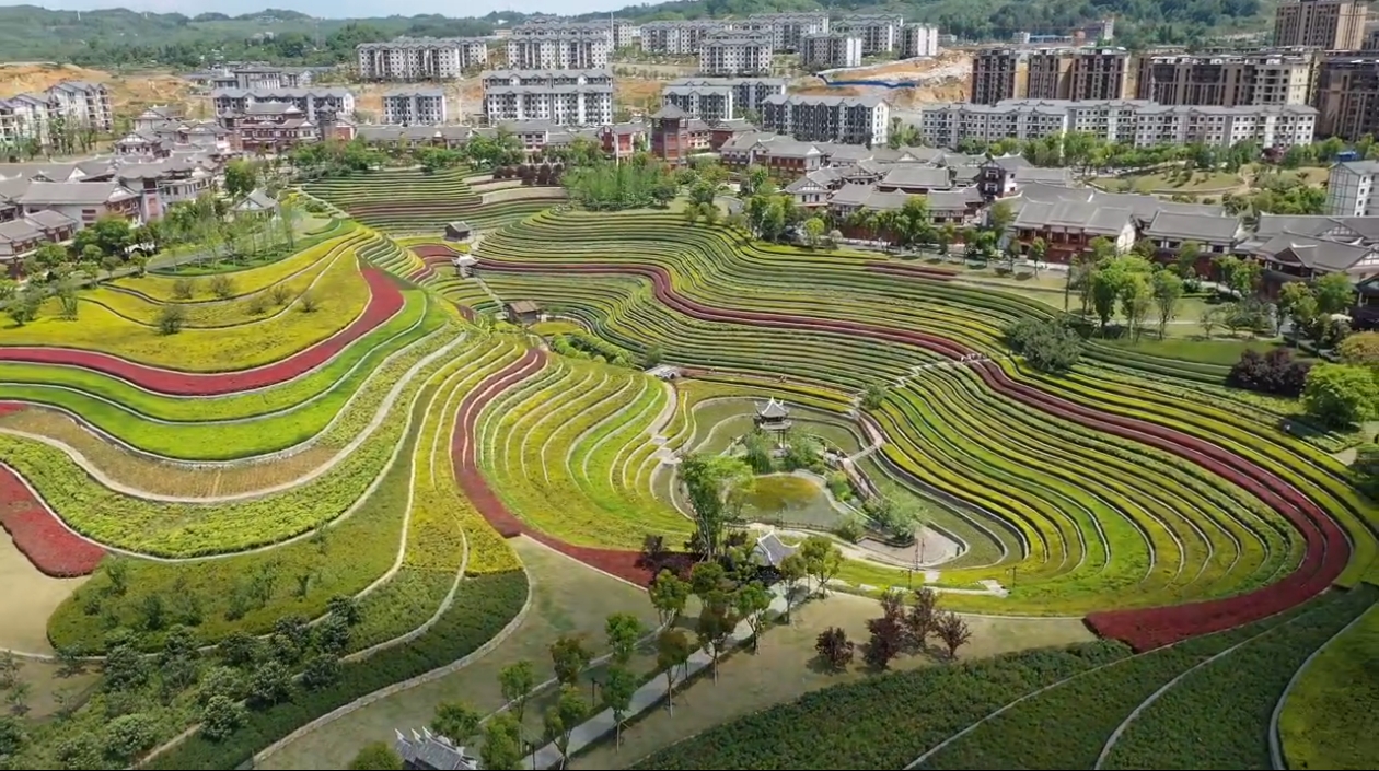 微信图片_20260806191117_1877_49.jpg