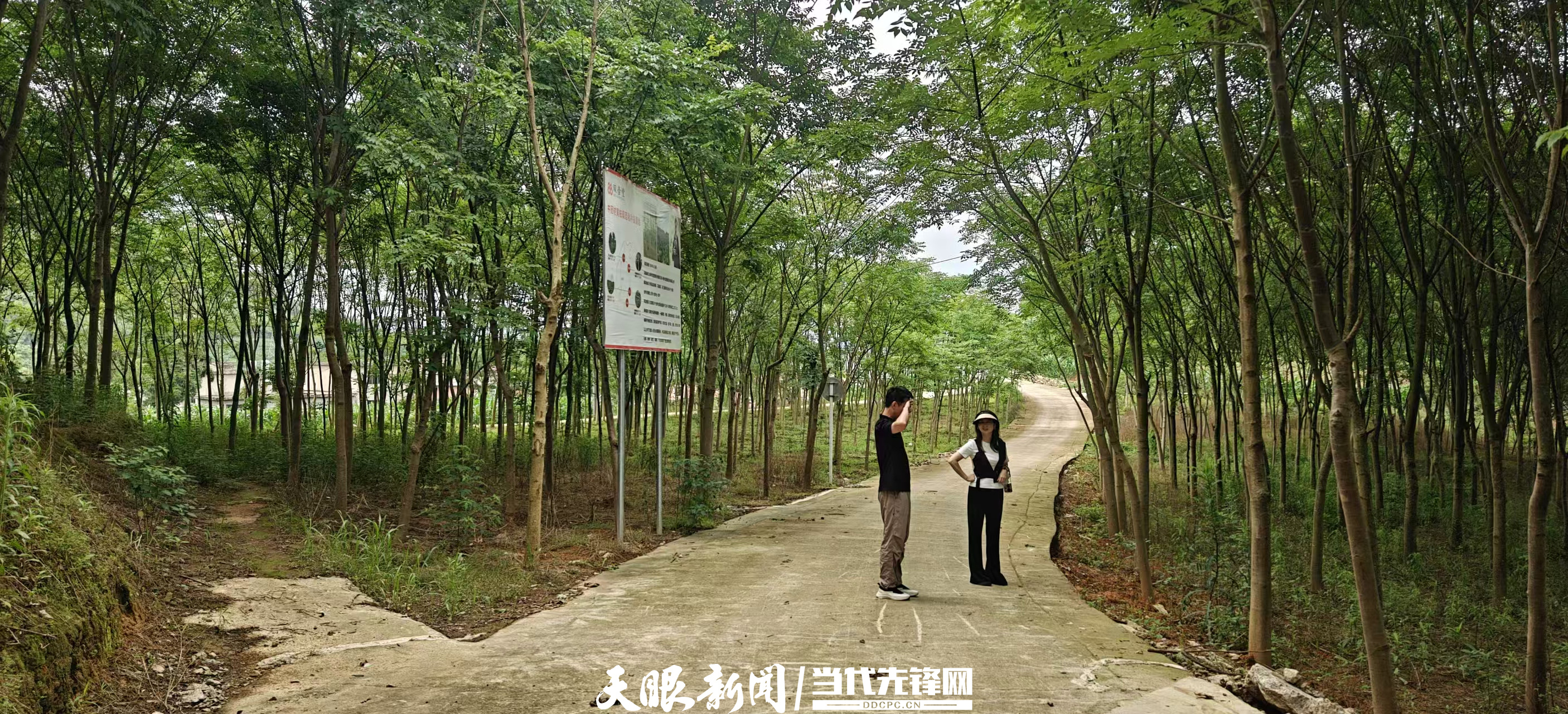 微信图片_20260616145407_副本.jpg