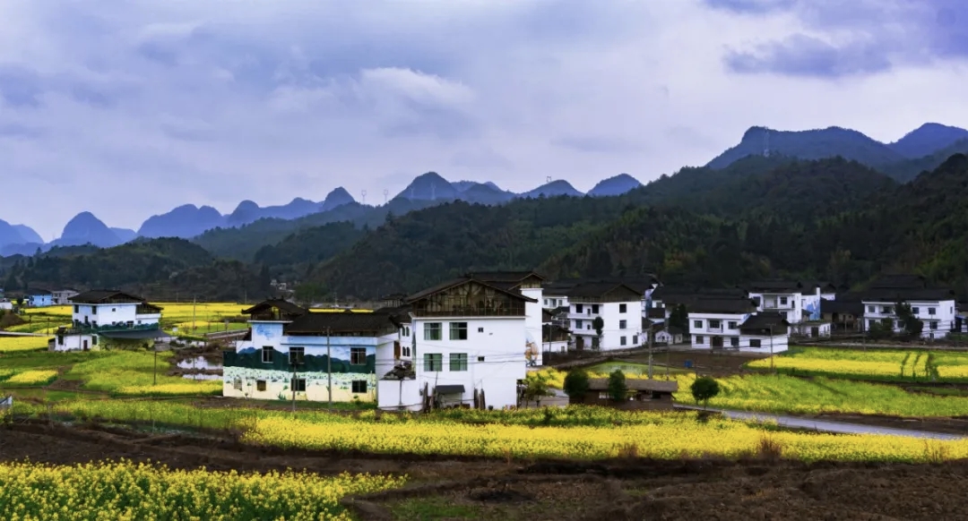 17903176715684.jpg 陈海嵘:摄.jpg