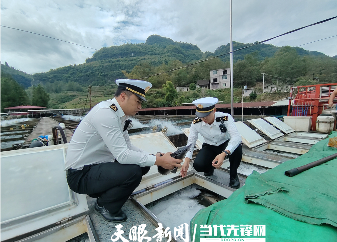 17915209515737.png 微信图片_20260427164405_1745_61.png